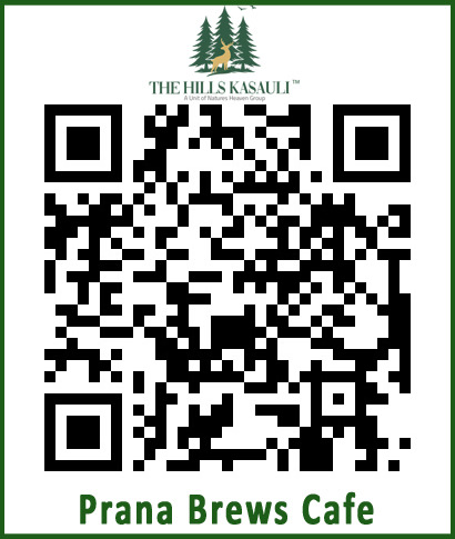 Menu QR Code