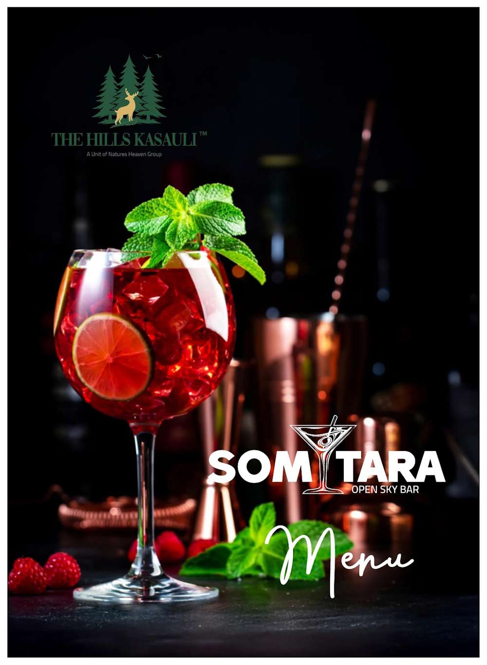 Hills Kasauli In Somtara Bar