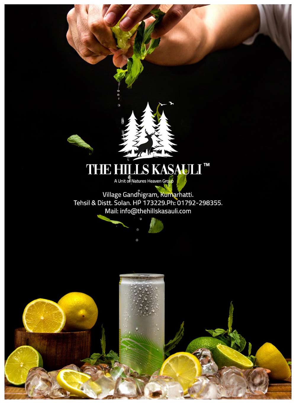 Hills Kasauli In Somtara Bar